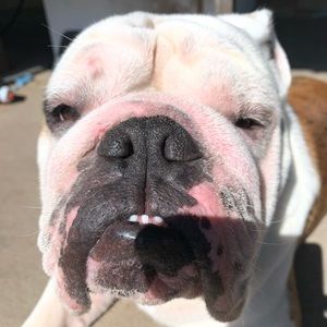 Meet your Posher, Deanna